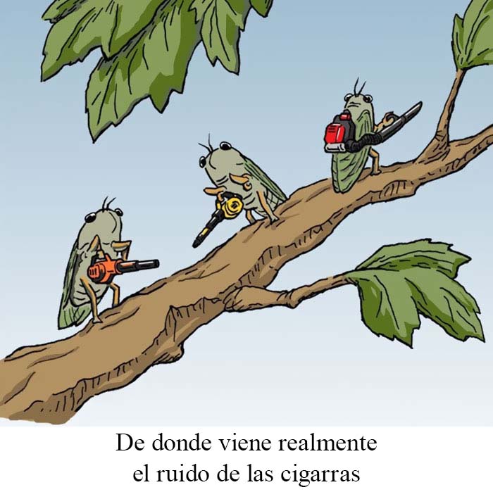 20 Cómics tan divertidos como positivos en una sola viñeta, creados por Jim Shoenbill para alegrarte el día