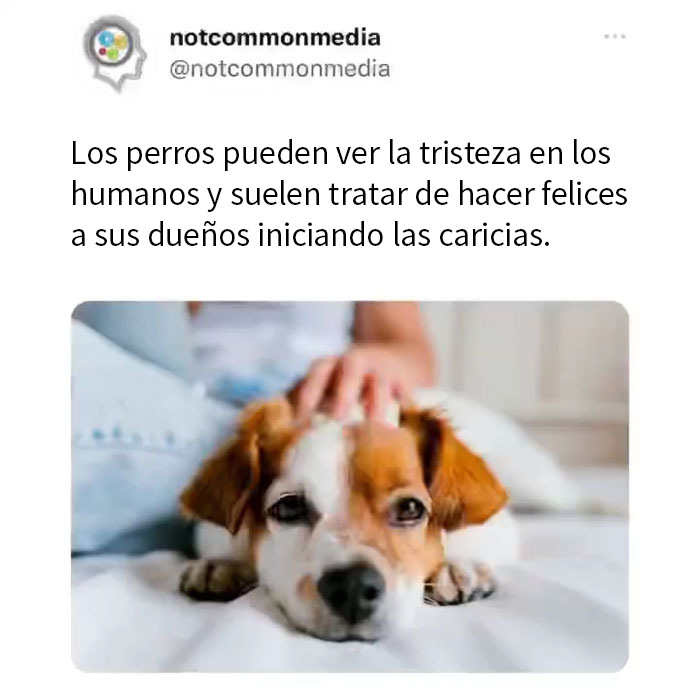 40 Lesser-Known Facts Shared By The "Not Common Facts" Instagram Account (New Pics)