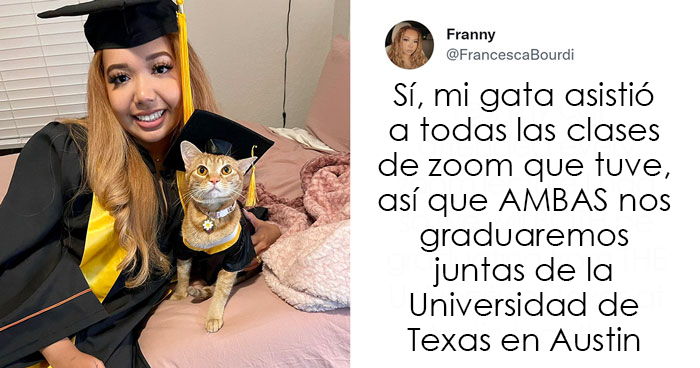 20 Publicaciones reconfortantes para sentirse bien, compartidas en el instagram «Delightful news»