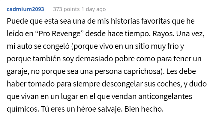 Esta persona congel&oacute; los coches de sus vecinos despu&eacute;s de que ocuparan ilegalmente su aparcamiento