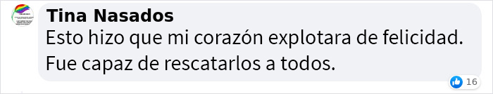 Este hombre fue &ldquo;emboscado&rdquo; por gatitos al detenerse para rescatar a uno de ellos