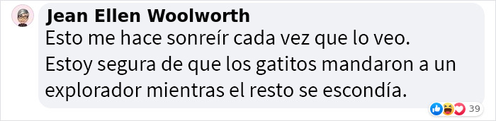Este hombre fue &ldquo;emboscado&rdquo; por gatitos al detenerse para rescatar a uno de ellos
