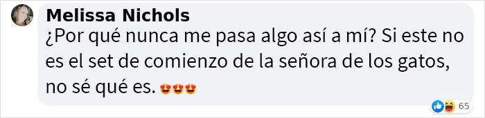 Este hombre fue &ldquo;emboscado&rdquo; por gatitos al detenerse para rescatar a uno de ellos