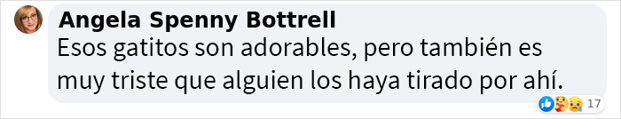 Este hombre fue &ldquo;emboscado&rdquo; por gatitos al detenerse para rescatar a uno de ellos