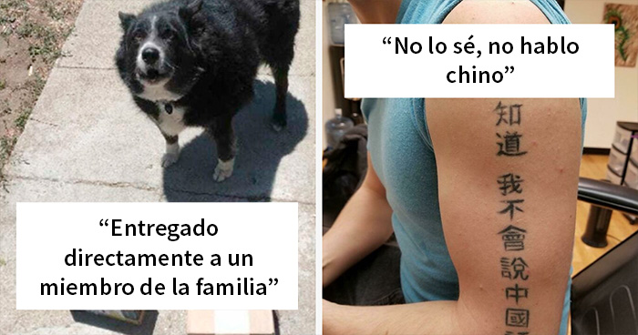 27 Divertidas fotos de personas haciendo exactamente lo que les pedían (nuevas fotos)