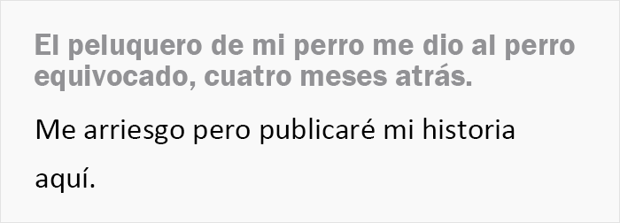 Esta persona recoge a su perro del peluquero y se da cuenta de que act&uacute;a de forma extra&ntilde;a, hasta que descubre la verdad 4 meses despu&eacute;s