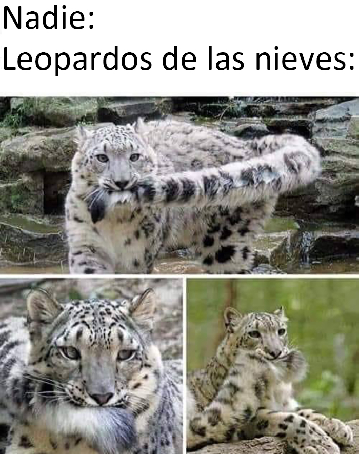 This Facebook Group Celebrates 'Cute Nopes' That Might Change Your Mind About Them (50 Pics)