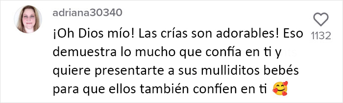 Esta madre mapache lleva a sus 4 hijos a conocer a la se&ntilde;ora que le daba de comer