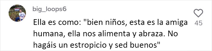 Esta madre mapache lleva a sus 4 hijos a conocer a la se&ntilde;ora que le daba de comer