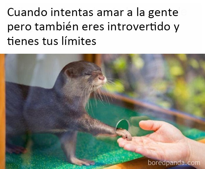 Introverts In This Online Group Are Sharing Painfully Hilarious Memes About Their Struggles, Here Are 50 Of The Funniest Ones