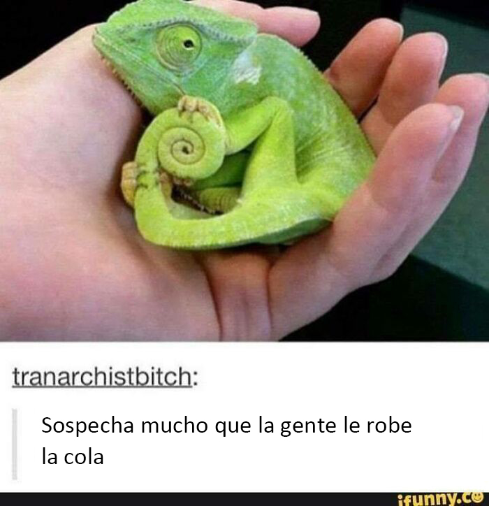 This Facebook Group Celebrates 'Cute Nopes' That Might Change Your Mind About Them (50 Pics)