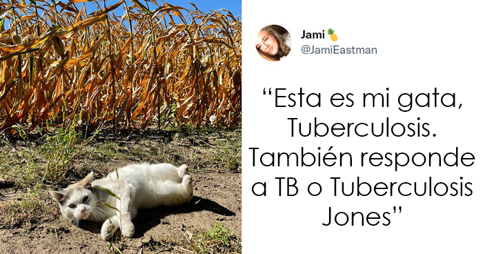 20 Nombres de mascotas muy disparatados, compartidos por los dueños en este hilo viral de Twitter