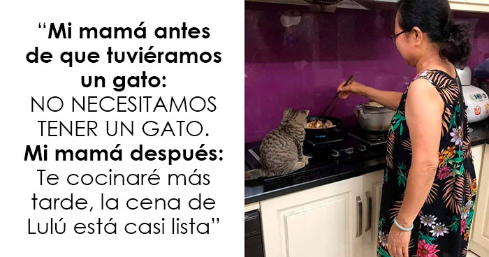 20 “Memes en los que me gustaría poder etiquetar a mi gato” compartidos en esta cuenta de Twitter (imágenes nuevas)