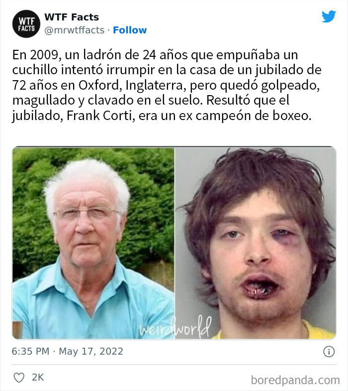 50 Random Facts That Sound Super Weird But Are Totally True, As Shared By This Twitter Account (New Pics)