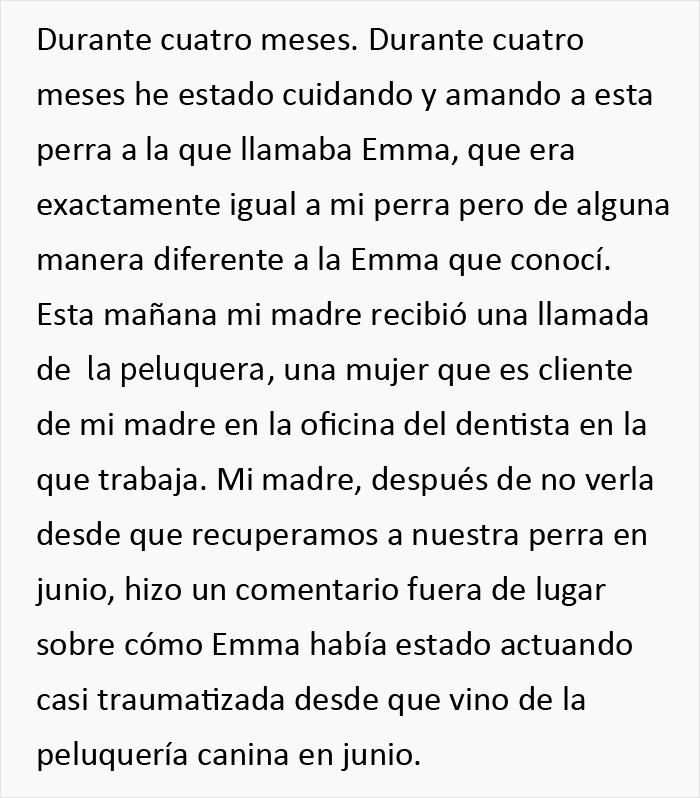 Esta persona recoge a su perro del peluquero y se da cuenta de que act&uacute;a de forma extra&ntilde;a, hasta que descubre la verdad 4 meses despu&eacute;s