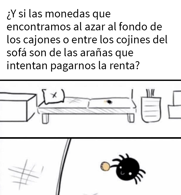 Gracias, adoro a las arañas que pagan la renta