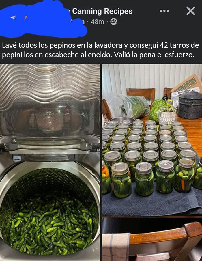 "This Is Why I Don't Do Potlucks": People Share Pics Of Seriously Gross Food