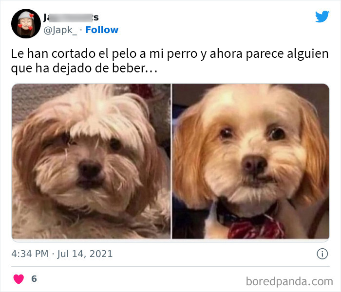 Igual sigue viéndose bien