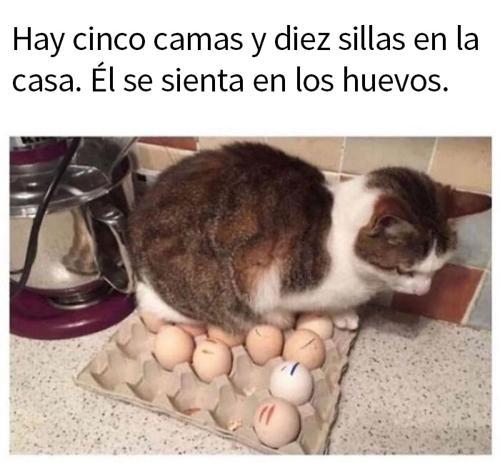 De incubar unos huevos