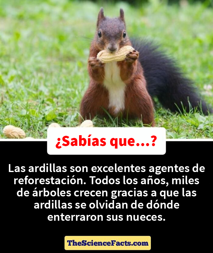 40 Weird But Cool Wildlife Facts That You Can Throw Out In Casual Conversation, As Shared On This Facebook Group