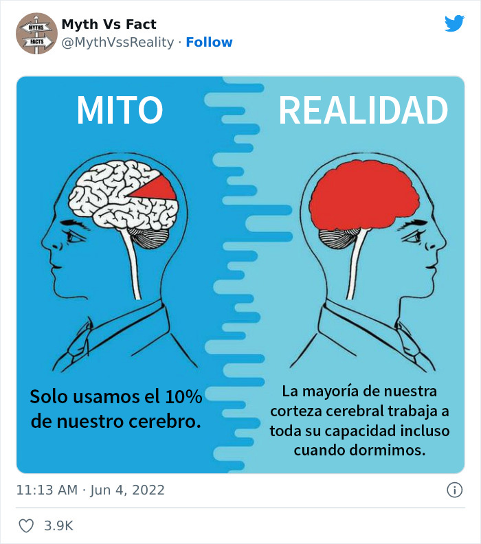 “Boost Your Knowledge”: 50 “Facts” That Are Actually Not True, Shared By This Twitter Account