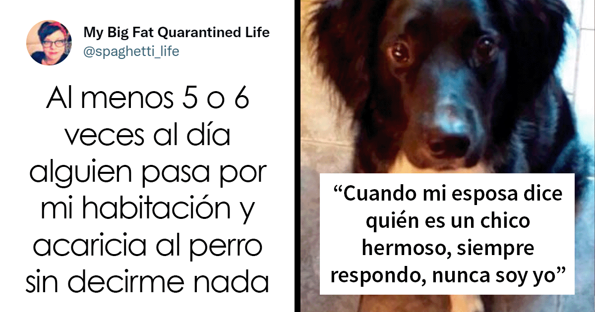 20 Personas avergonzadas porque creyeron que les hablaban a ellos, y en realidad era con sus mascotas