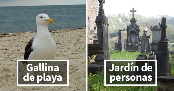 25 Divertidos nombres alternativos pero acertados que los niños dan a las cosas