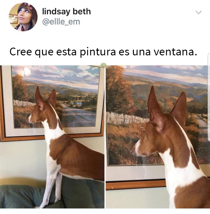 Jamás le diría que no es así