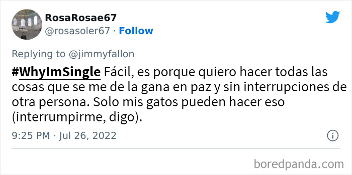 Jimmy Fallon Asks People Why They Are Still Single, And People Give Their Funny And Weird Reasons (50 New Tweets)