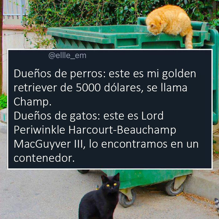 "The Best And Worst Of Twitter": 50 Of The Most Surprising Takes On Pretty Much Everything (New Pics)