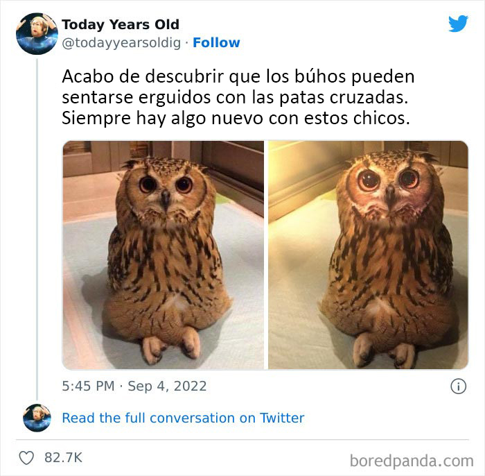 The ‘Today Years Old’ Social Media Project Shares Cool Facts, And Here Are 50 Of The Very Best Ones