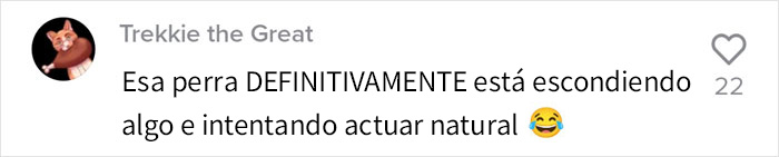 Este perro hizo photobomb en la boda de sus due&ntilde;os, y la gente comparte fotos similares