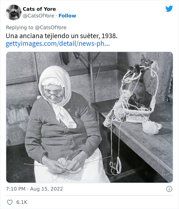 Los gatos destrozando cosas no son un problema moderno, como muestran estas 24 im&aacute;genes a trav&eacute;s de la historia