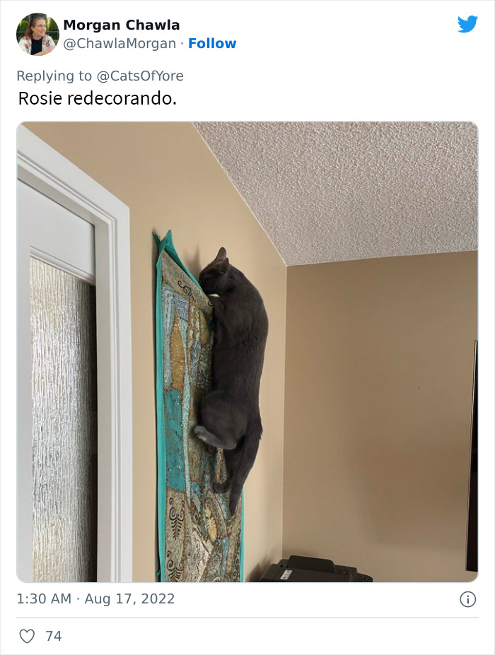 Los gatos destrozando cosas no son un problema moderno, como muestran estas 24 im&aacute;genes a trav&eacute;s de la historia