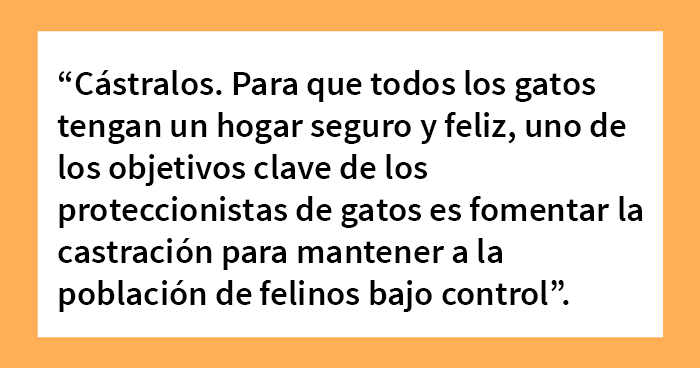 Si tienes un gato, puede que estos 20 trucos te interesen