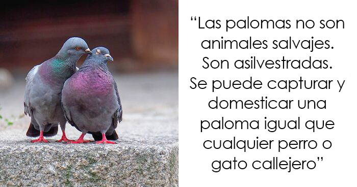 «Las cebras no pueden dormir solas»: 30 Datos sobre animales muy edificantes