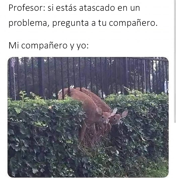 This Facebook Page Is About All Things Nerdy, Here Are 50 Of Its Funniest Memes