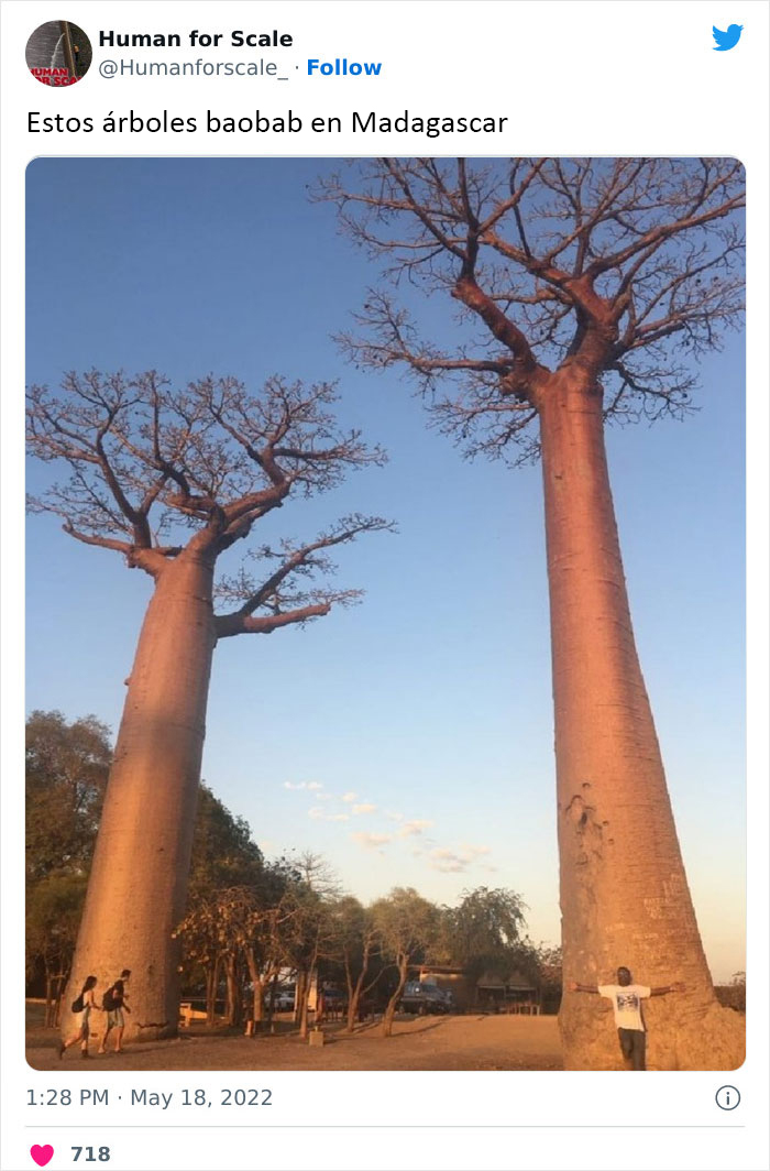 40 Photos With Humans For Scale To Show Just How Big Stuff Really Is, As Shared On This Twitter Page