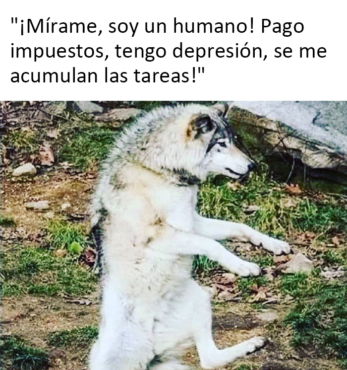 This Instagram Page Is Dedicated To Memes That Should Probably Be Discussed With A Therapist (50 Pics)