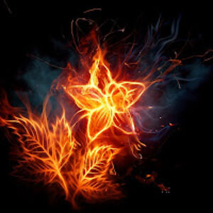 lauramandadocacho avatar