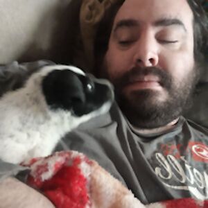 danielszterenszos avatar