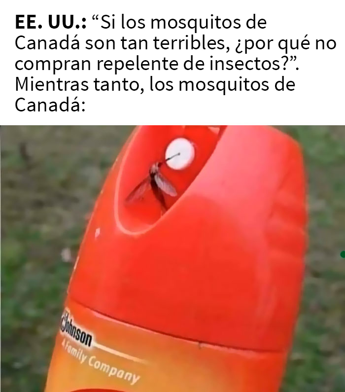 'O Canada': This Online Page Shares Memes About Life In Canada That Sum Up The Country Perfectly