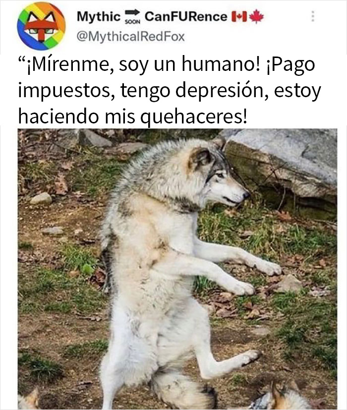 People Are Creating Memes About Nature And All Things Environment, Here Are 35 Of The Best Ones Shared On This Facebook Page