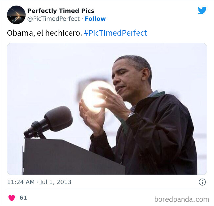 50 "Perfectly Timed Pics" That Might Make You Look Twice