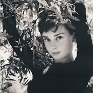 carmenmariaalarconparragues avatar