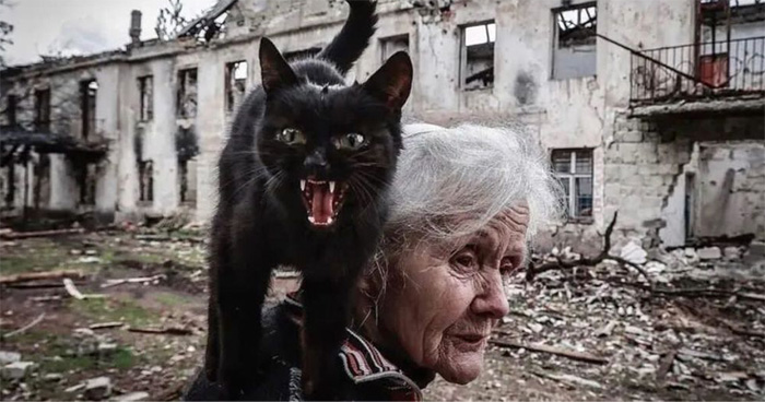 40 Fotos callejeras que captan encuentros fortuitos en lugares públicos