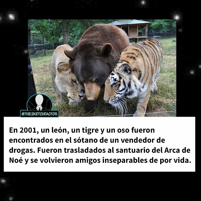 50 Disturbing And Morbid Facts That Might Freak You Out A Bit, As Shared By This Insta Page