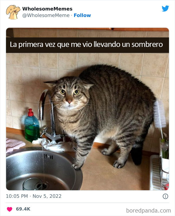 50 Wholesome Memes As Shared By This Page To Brighten Up Your Day (New Pics)