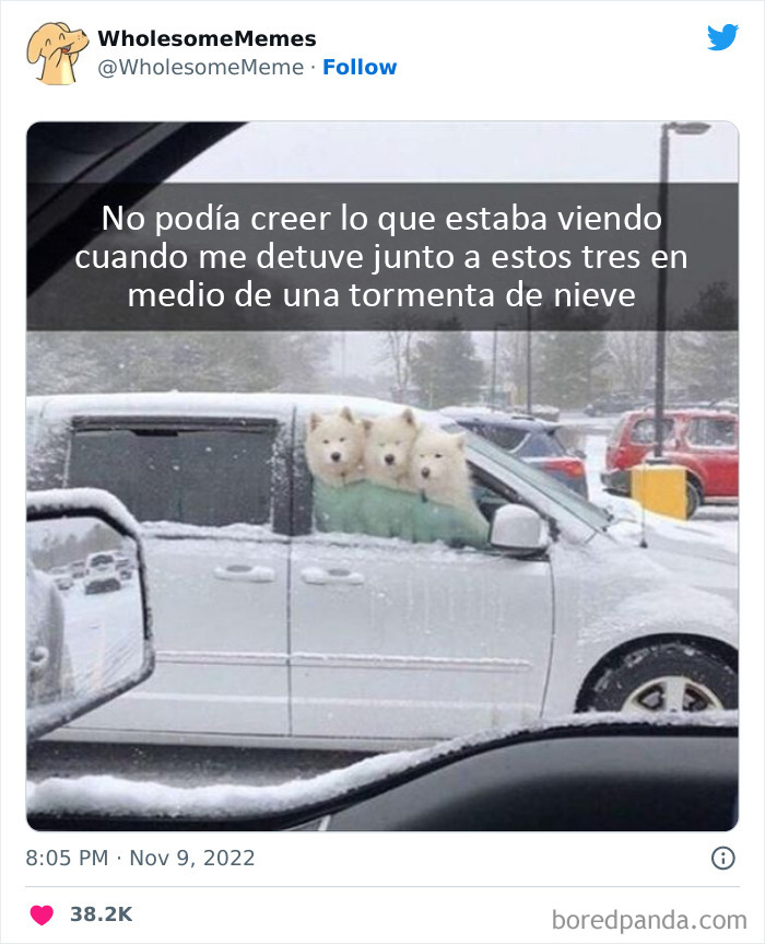 50 Wholesome Memes As Shared By This Page To Brighten Up Your Day (New Pics)