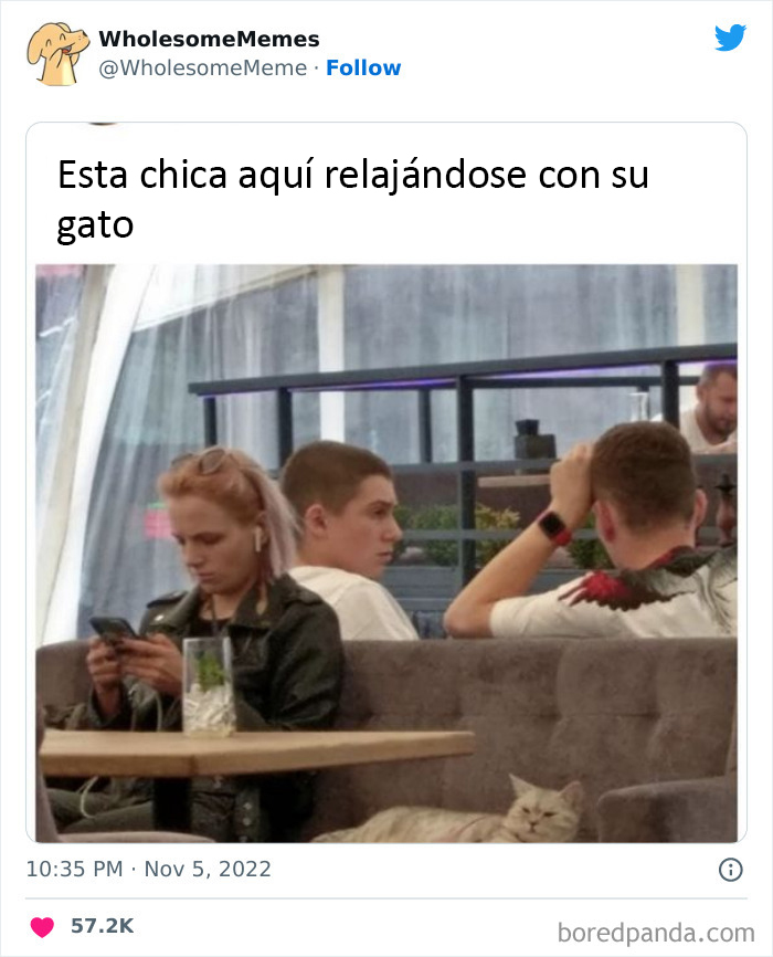 50 Wholesome Memes As Shared By This Page To Brighten Up Your Day (New Pics)